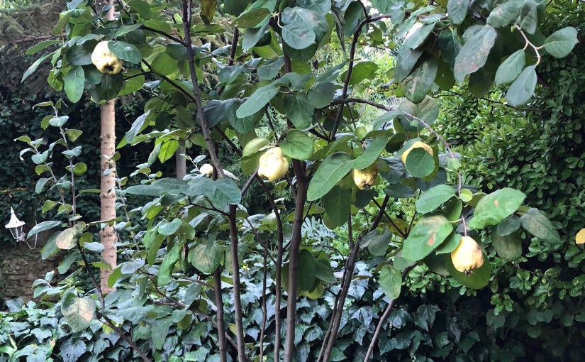 bu yılın projesi…haftanın keyfi