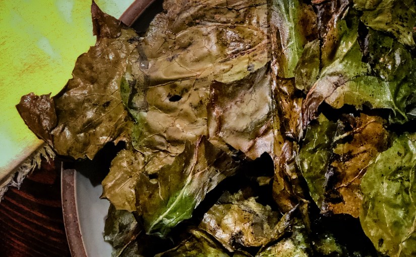 haftanın keyfi…ev yapımı kara lahana&nbsp;cipsi